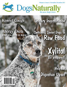 Dogs Naturally Magazine