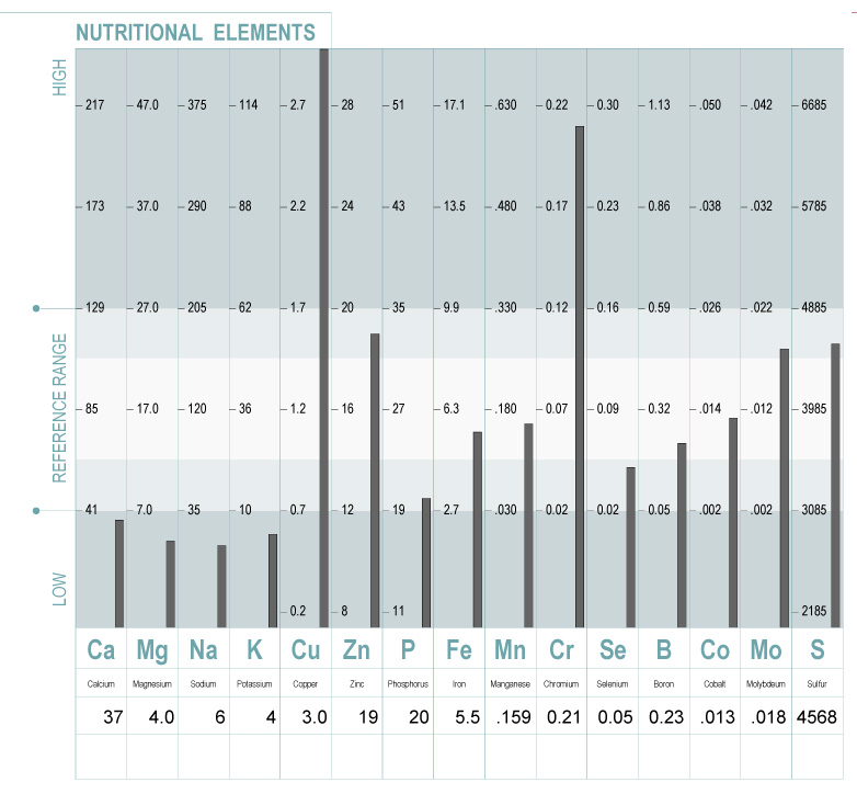 nutritional elements